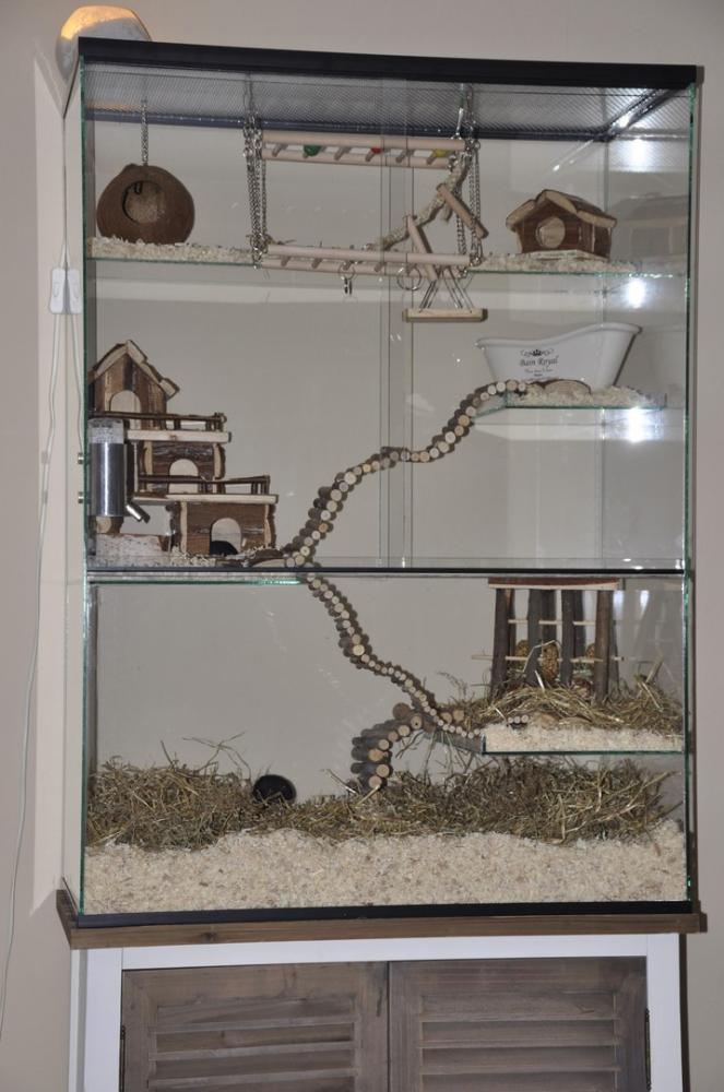 75x40x100 Gerbil / Degoe kooi van glas met schuifruiten